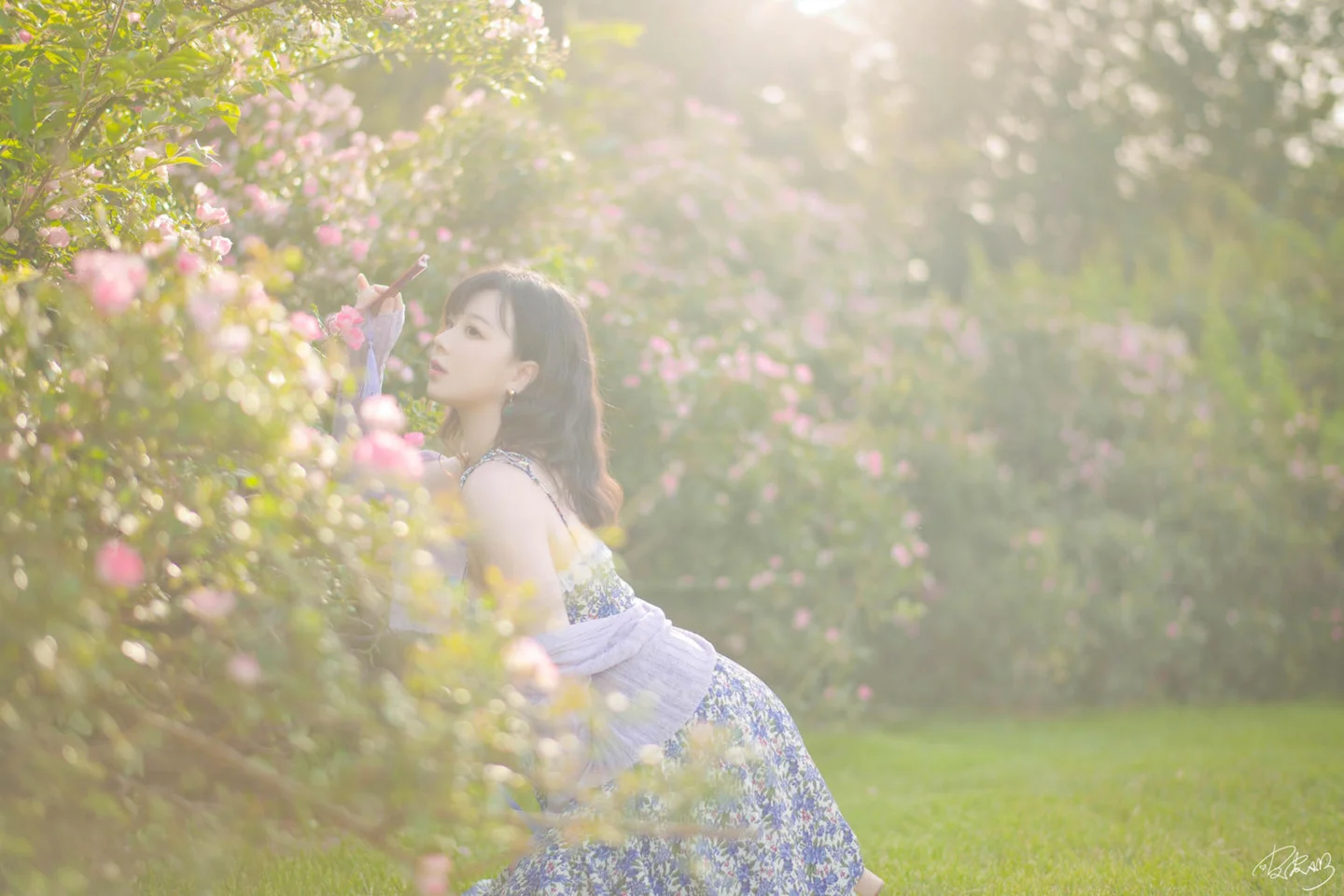 皮皮奶 - 蔷薇花 [37P-269MB] tg@simisebaisi 【丝足阁】010.webp